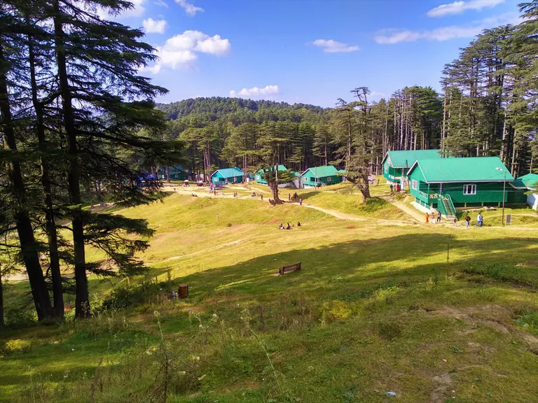 Green meadow with deodar trees and cottages at Patnitop under a blue sky